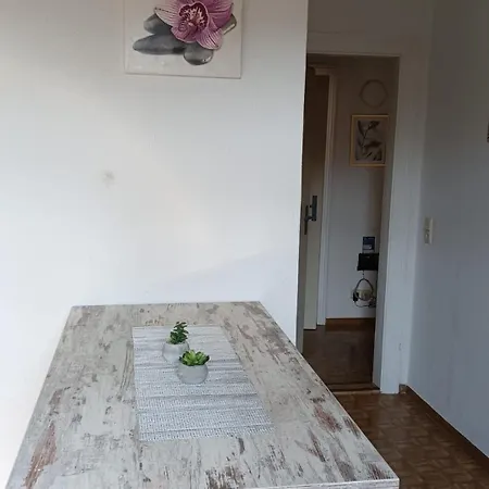 Apartment Stellas Monteurwohnungen *